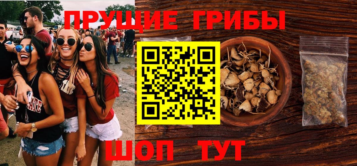 магазин продажи   Псилоцибиновые грибы Psilocybine cubensis  Вход с VPN  Кемерово 